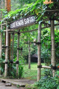 https://www.dpa-adventure.com/wp-content/uploads/2015/02/Gathering-Bogor-Taman-Safari.jpg